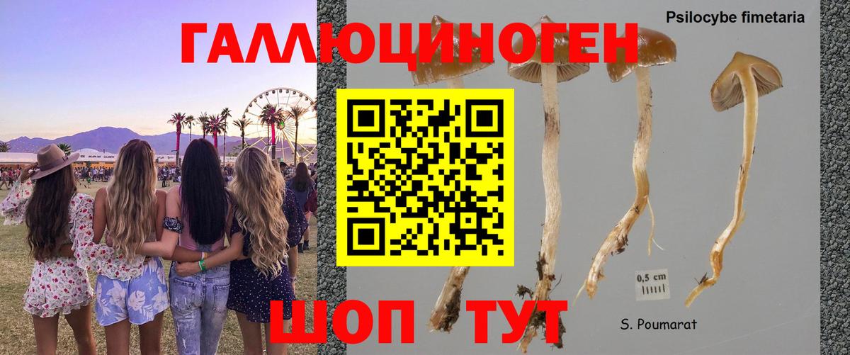 Псилоцибиновые грибы Psilocybine cubensis  Вход с VPN  Ревда 